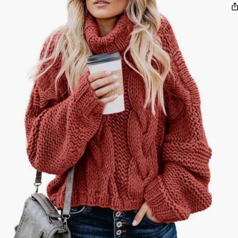 NWOT Chunky Turtleneck Sweater for Woman